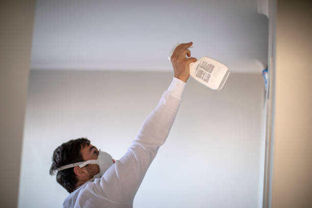 Best Mold Remediation  in Gholson, TX