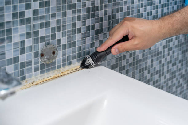 Best Office Mold Removal Services  in Gholson, TX