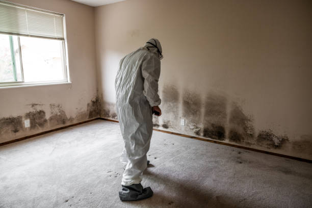 Best Mold Testing  in Gholson, TX
