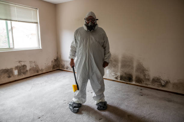 Best Office Mold Removal Services  in Gholson, TX